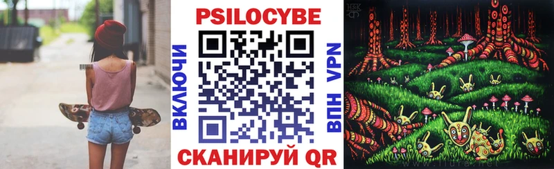 мега зеркало  купить наркотик  Куровское  Псилоцибиновые грибы мухоморы 